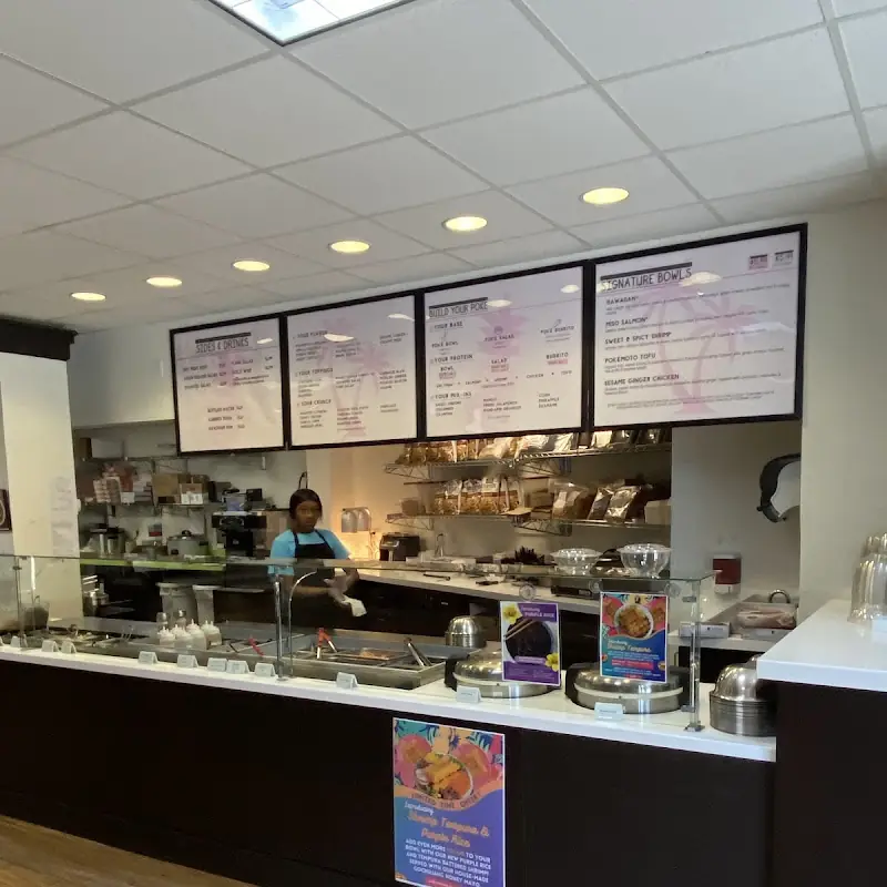 Pokémoto - New Haven (Audubon)