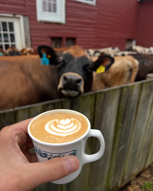 Appaloosa Coffee