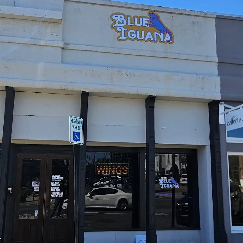 Blue Iguana