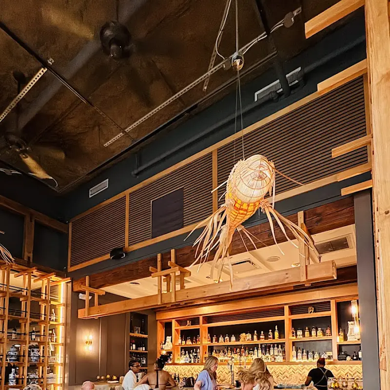 Osha Thai Sushi Galleria