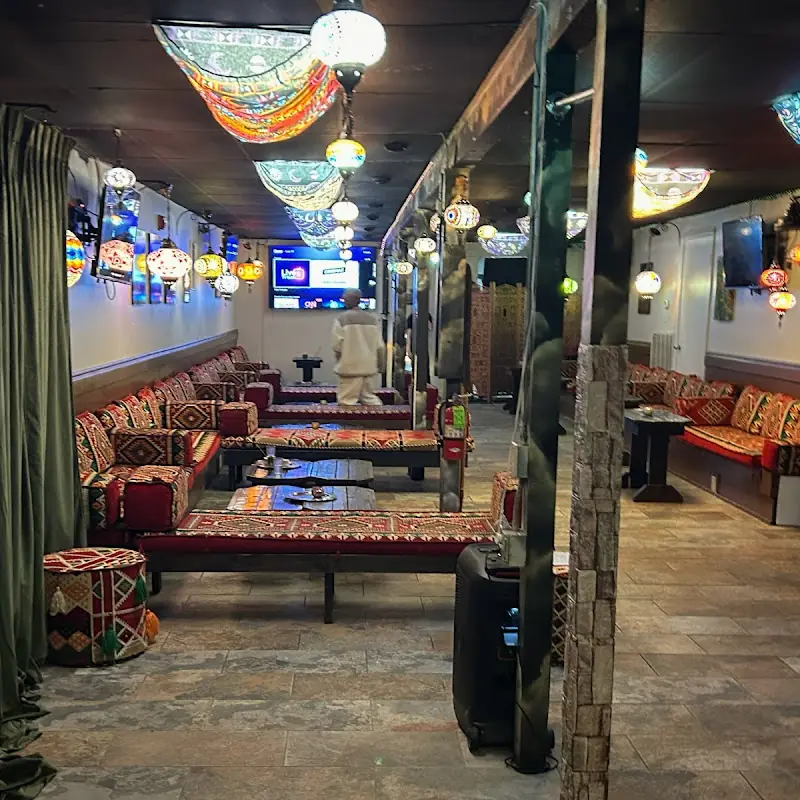 Falafel Fries
