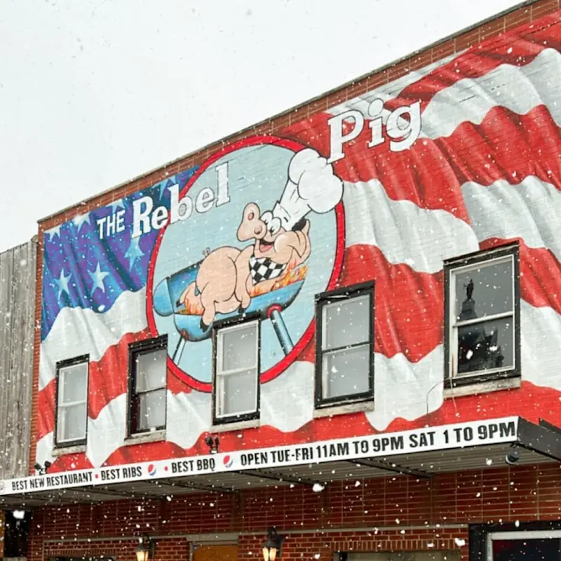 The Rebel Pig