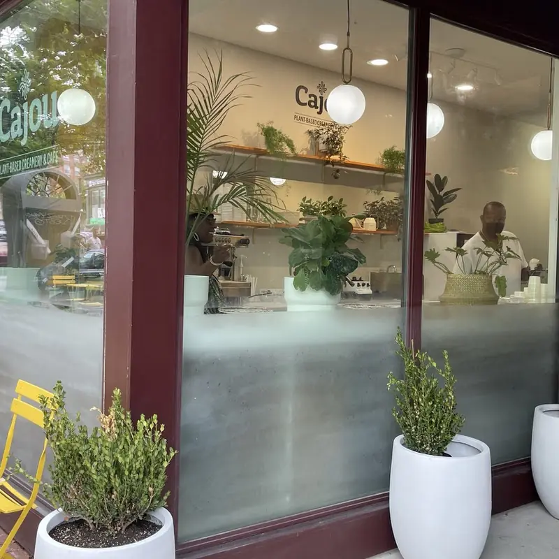 Cajou Plant-Based Ice Cream