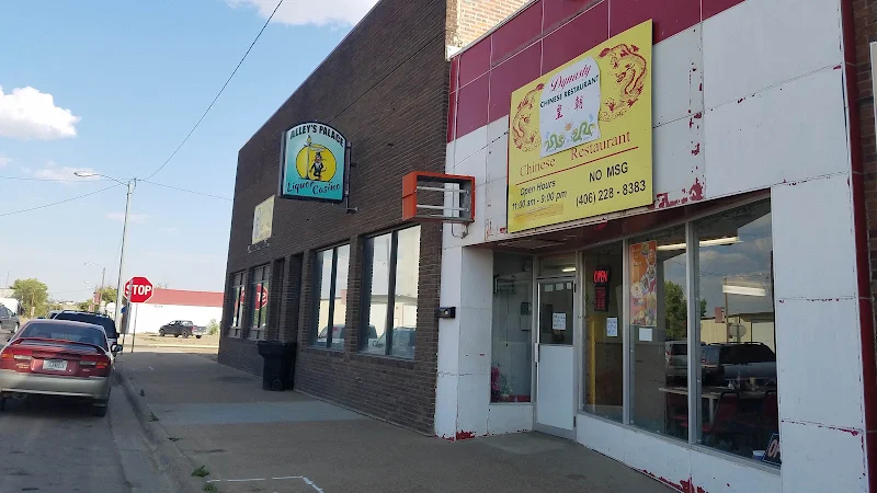 Dynasty Chinese Restaurant