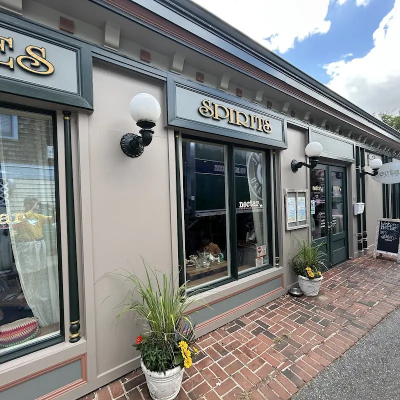 Nectar Cafe & Juice Bar