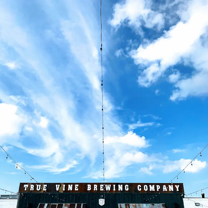 True Vine Brewing Company