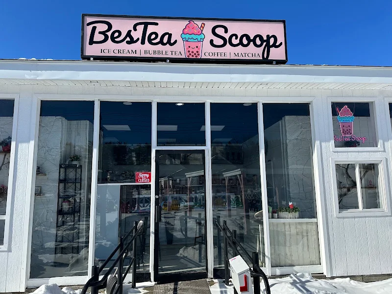 Bestea Scoop
