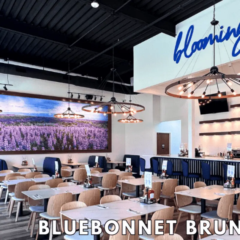 Bluebonnet Brunch House