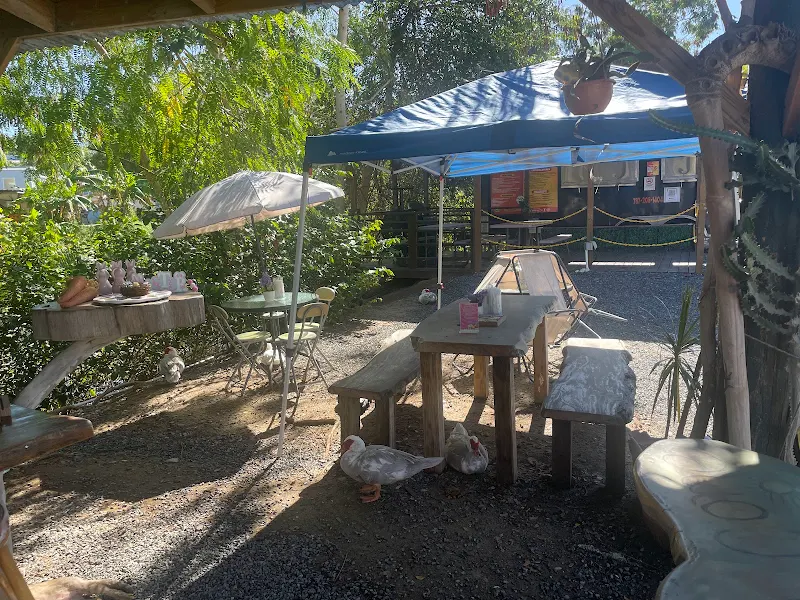 Solecito Coffee Shop