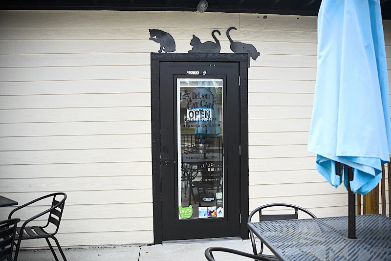 DeLand Cat Cafe