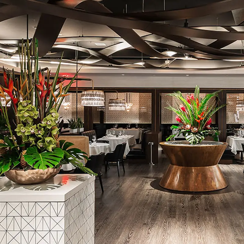 The Pines Modern Steakhouse