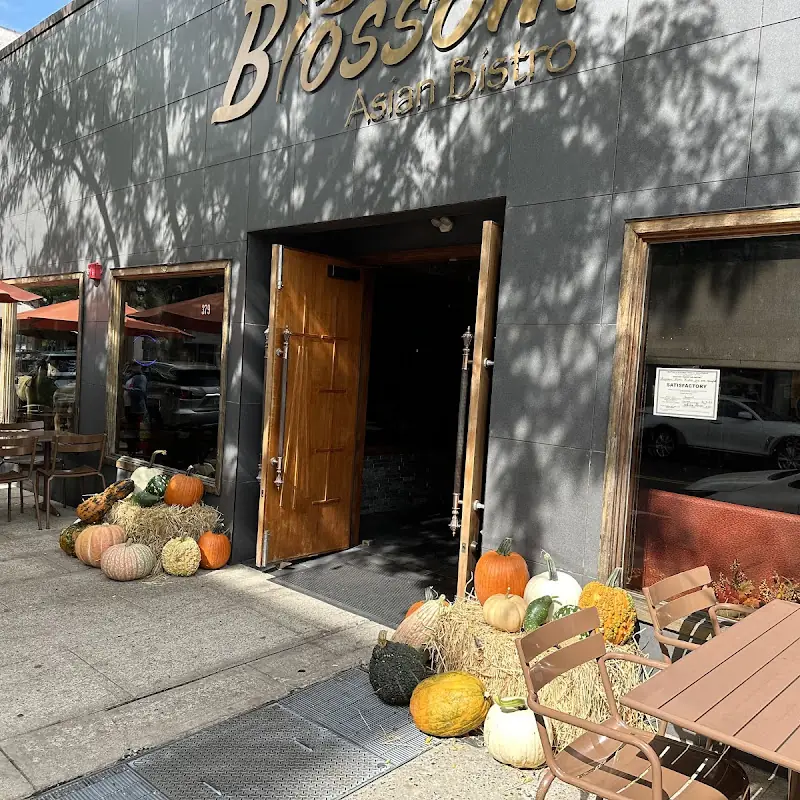 Blossom Asian Bistro