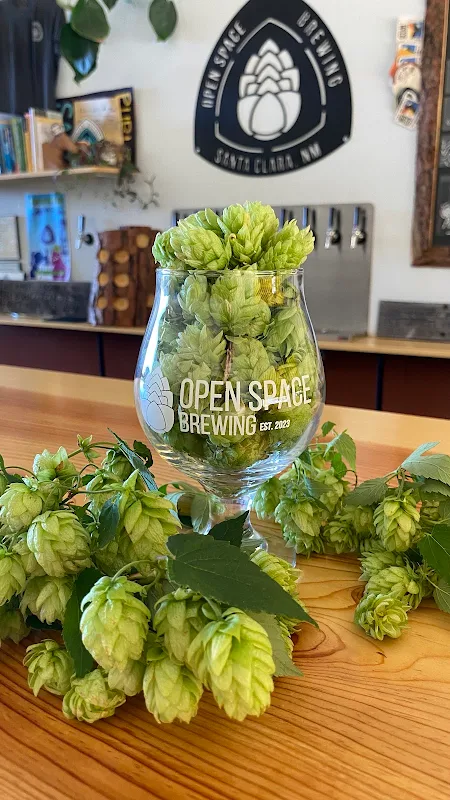 Open Space Brewing