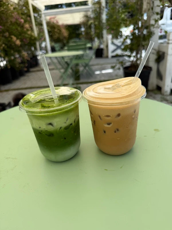 Lazy Coffee Co