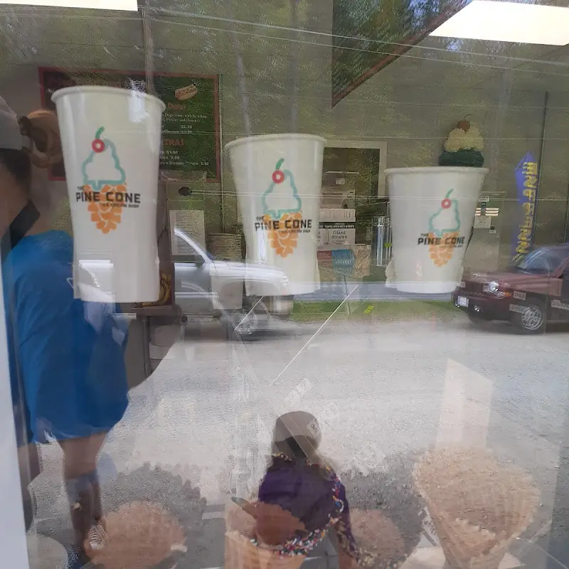 The Pine Cone