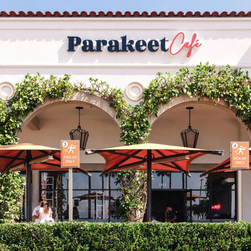 Parakeet Cafe