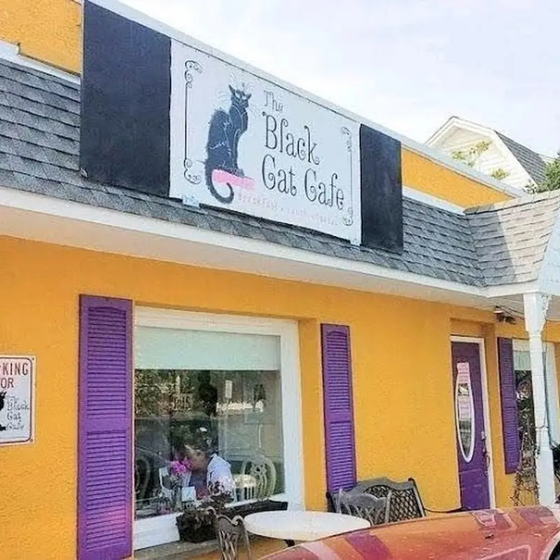 The Black Cat Cafe