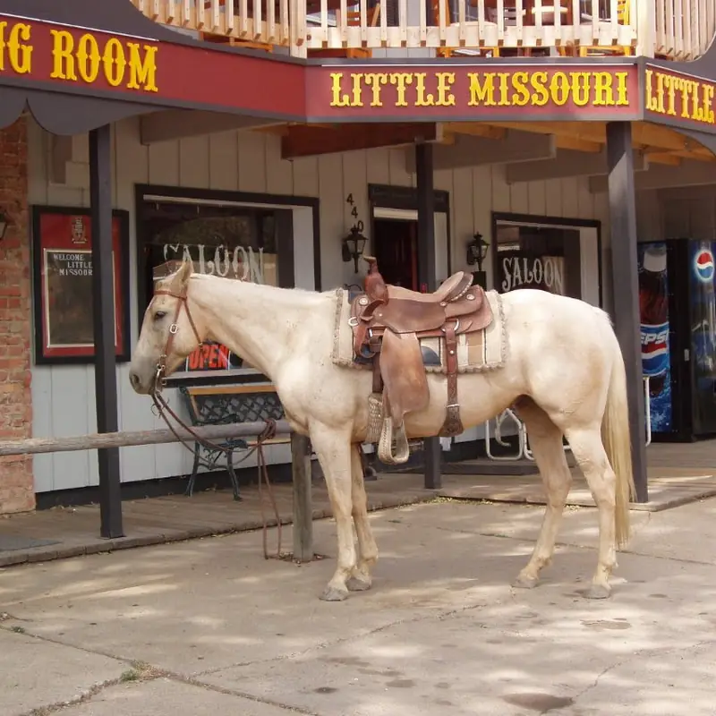 Little Missouri Saloon & Dining Room