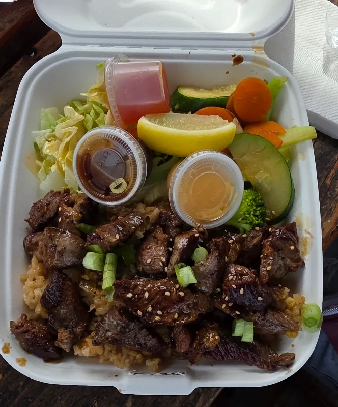 Hibachi grill
