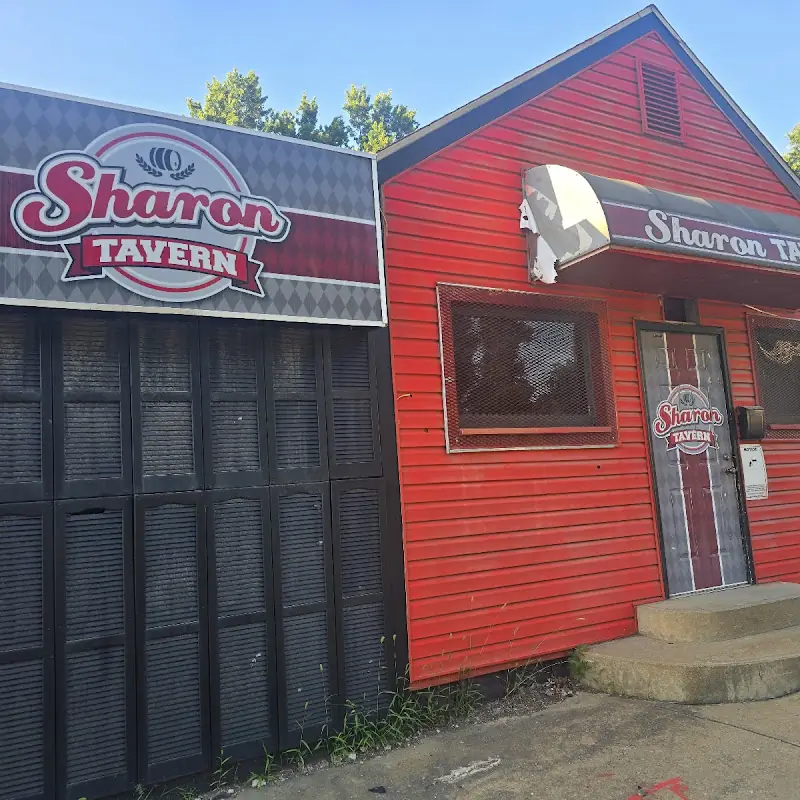 Chicken Sandwich with Fries