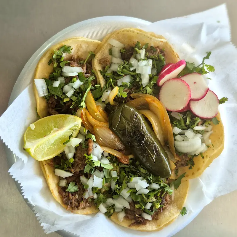Tacos Los Troncos