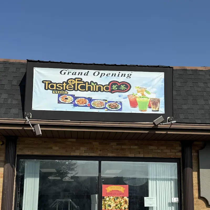 Vegetable Lo Mein
