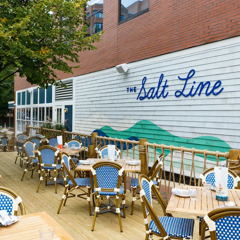 The Salt Line