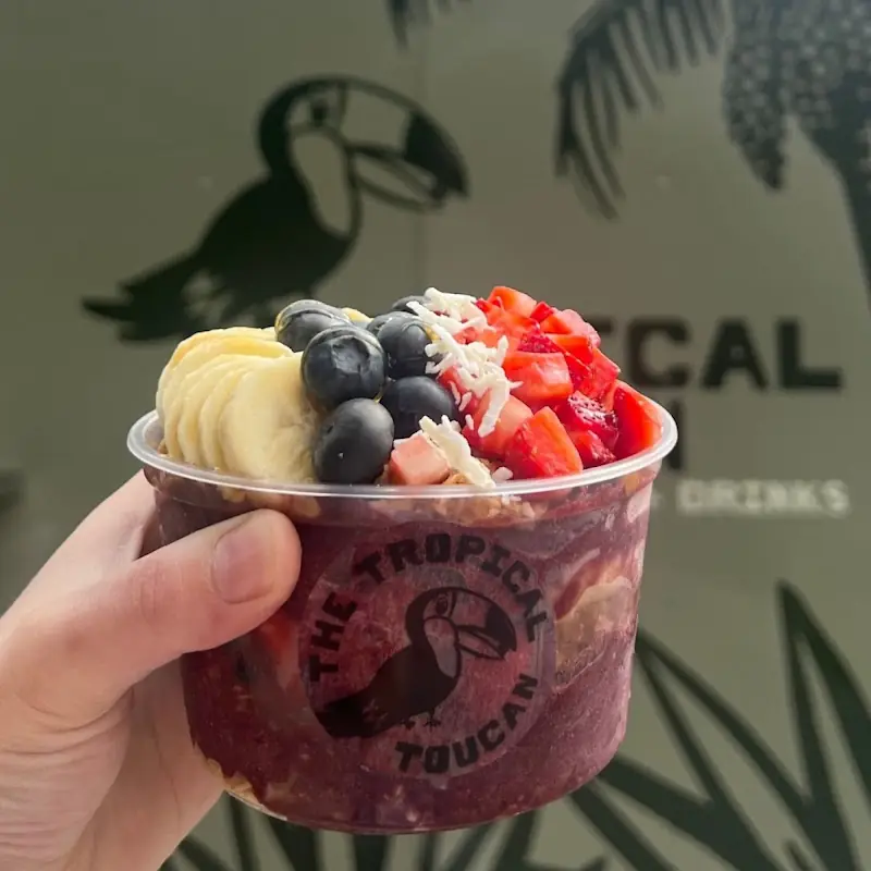 The Tropical Toucan