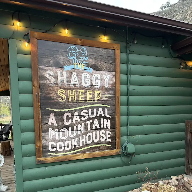 The Shaggy Sheep