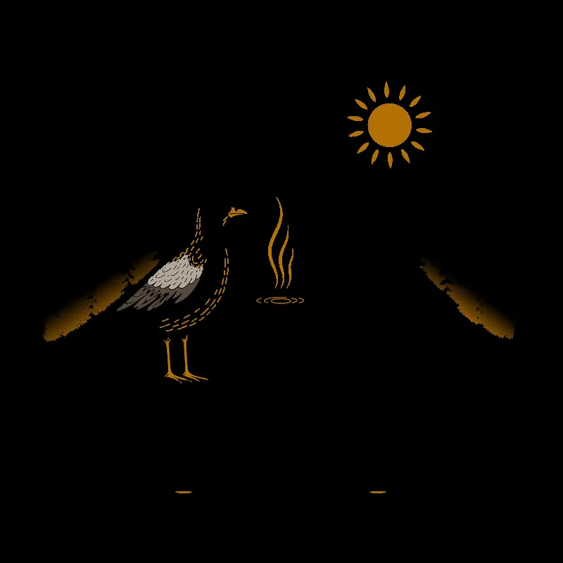 Seagull & Raven Coffee