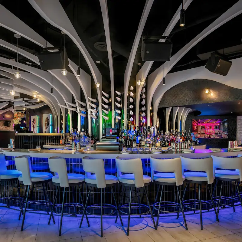 STK Steakhouse