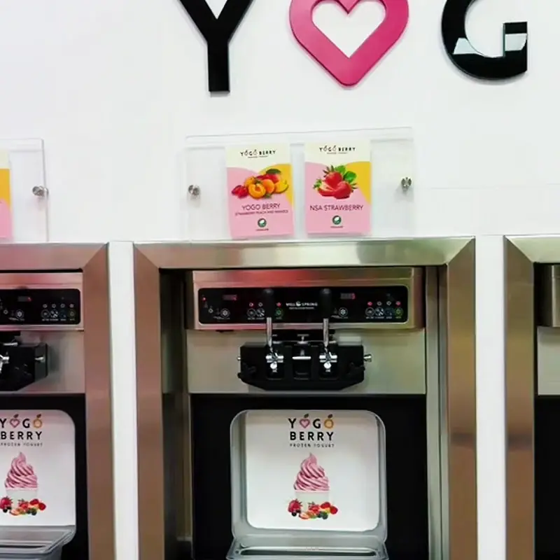 6 ounces frozen yogurt with or without toppings                           Flavors : Tart    Mango     Yogoberry     Strawberry (No sugar added)    Pineapple   Coconut   Pina Colada     Watermelon Sorbet (Dairy Free)    Cookies and Cream     French Vanilla     Chocolate    Chocolate-Vanilla Swirl