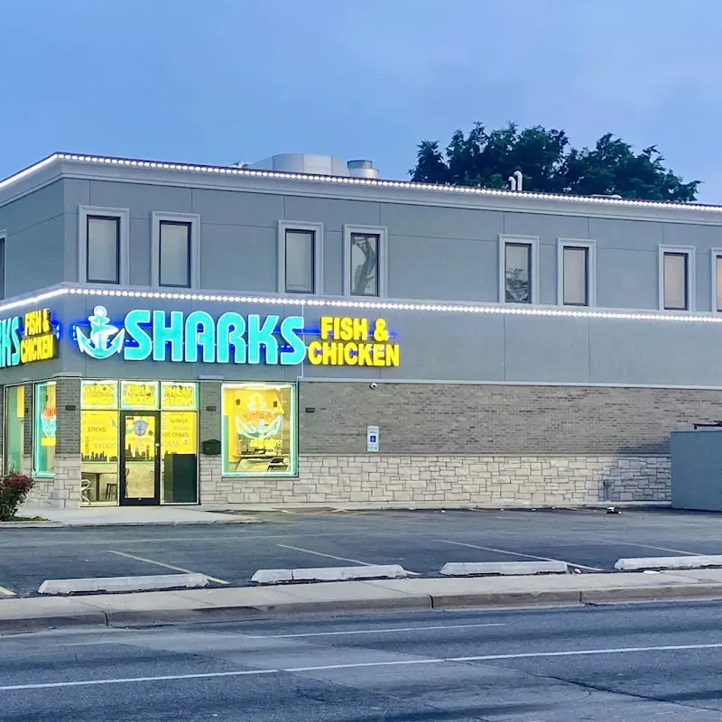 FISH SANDWICH COMBO