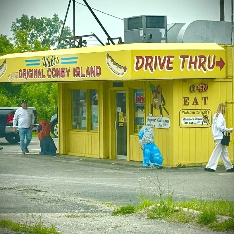 Walt's Coney Island