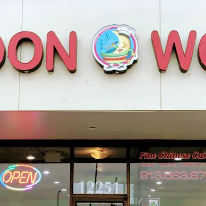 Moon wok