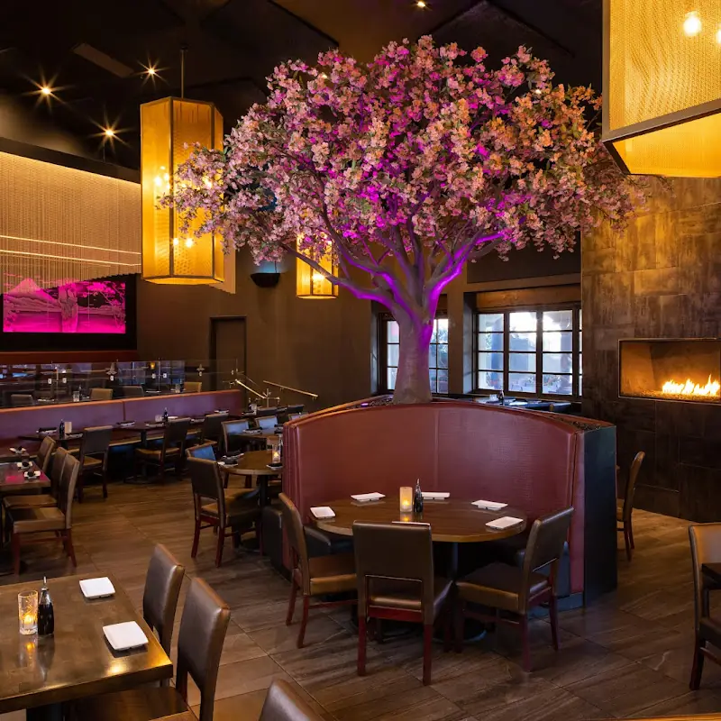 Okura Robata Grill & Sushi Bar