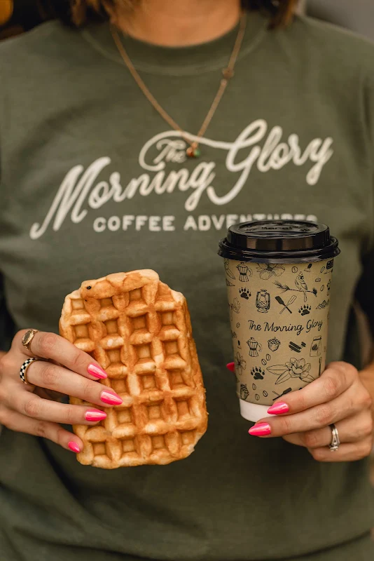 The Morning Glory Coffee Adventures