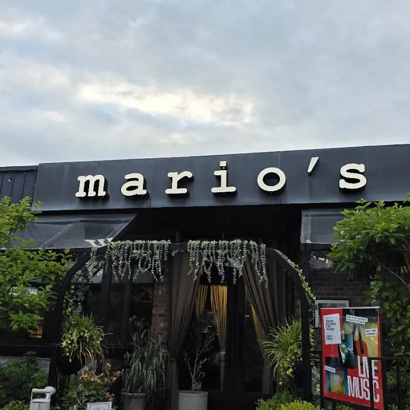 Mario's Kitchen