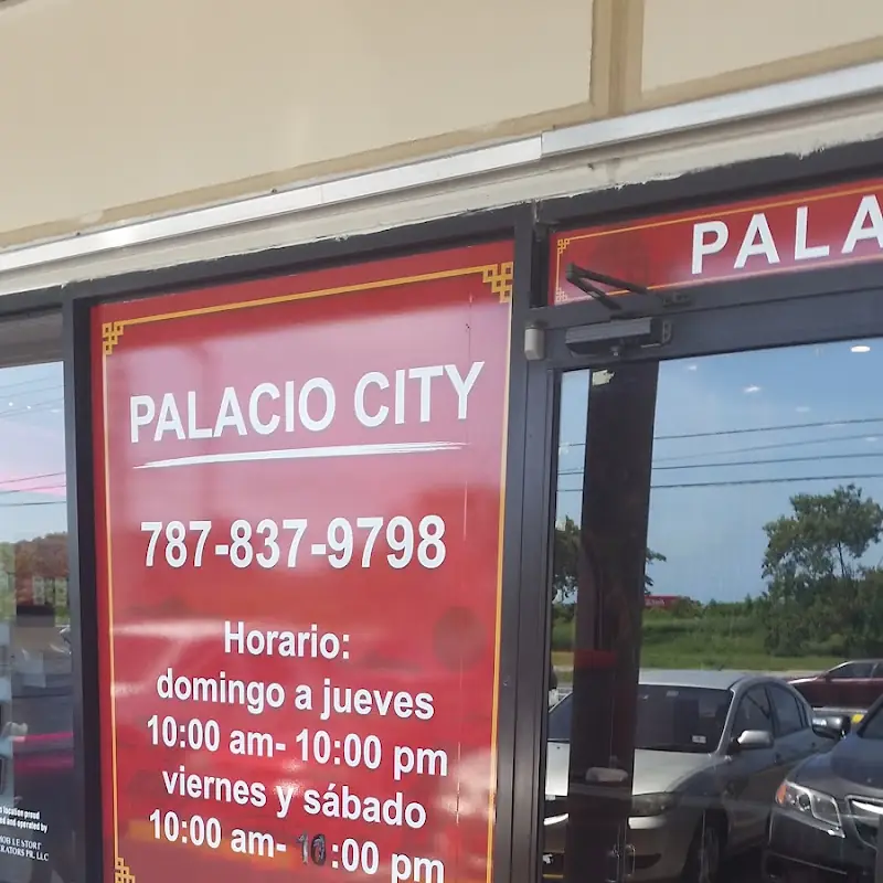 Palacio City