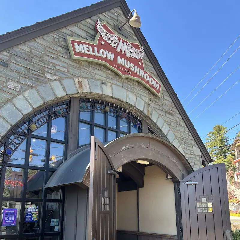 Mellow Mushroom Blowing Rock