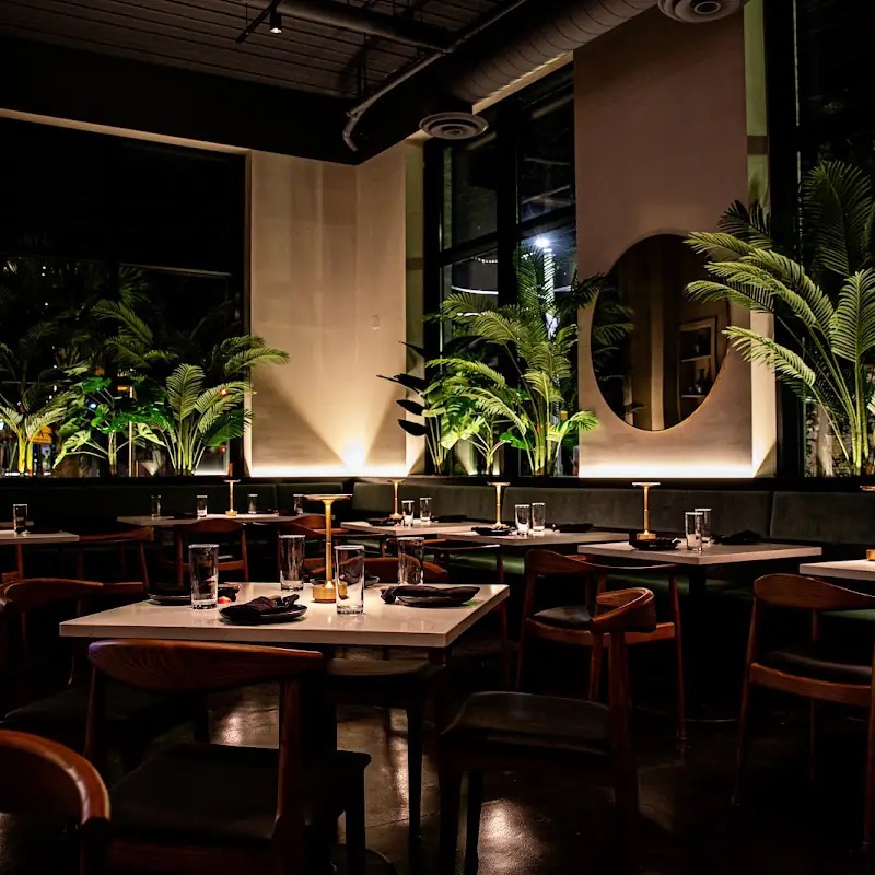 XO Brasserie