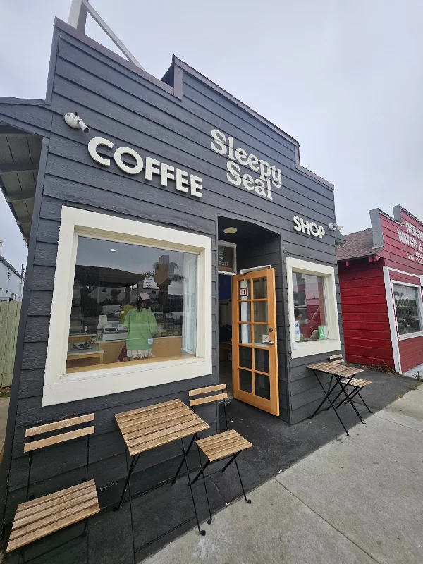 Sleepy Seal Coffee Shop