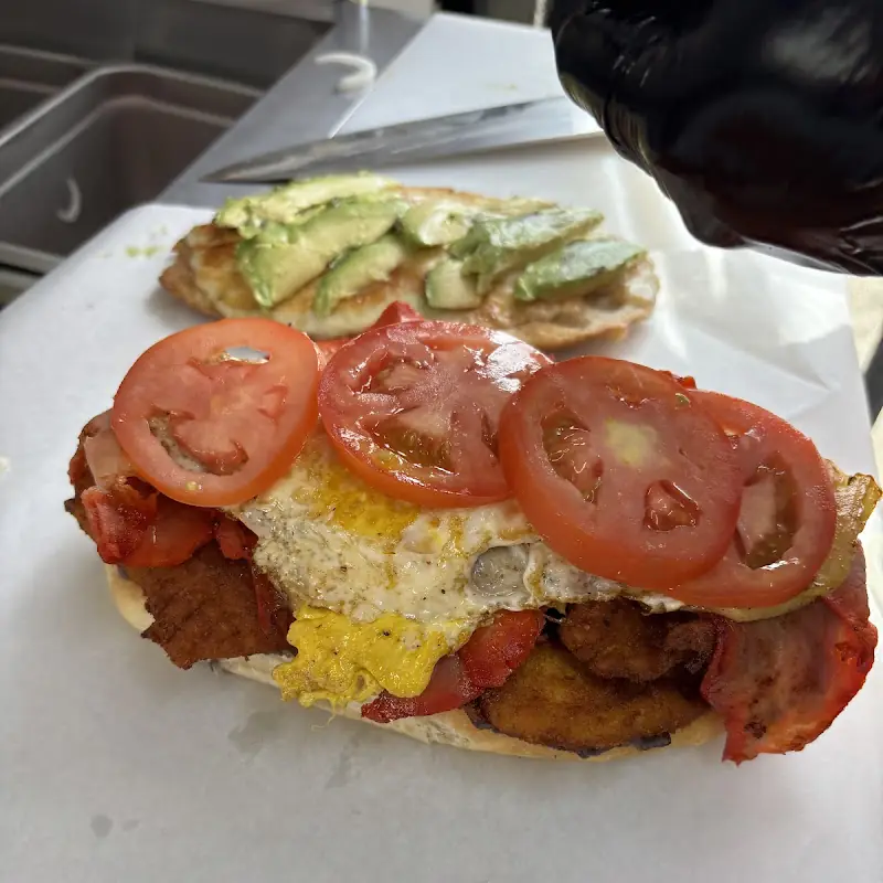 Matt tortas