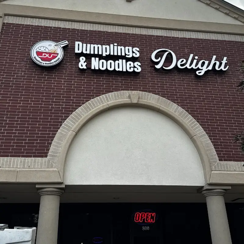 Dumplings & Noodles Delight
