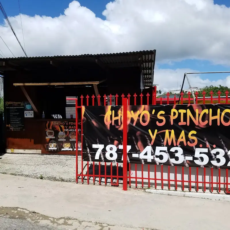 Choyo's pinchos y más