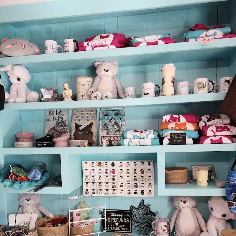 Right Meow Cat Cafe
