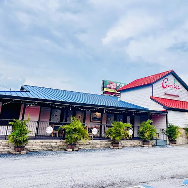 Curries Authentic Indian Restaurant-Clearwater | Tampa Bay