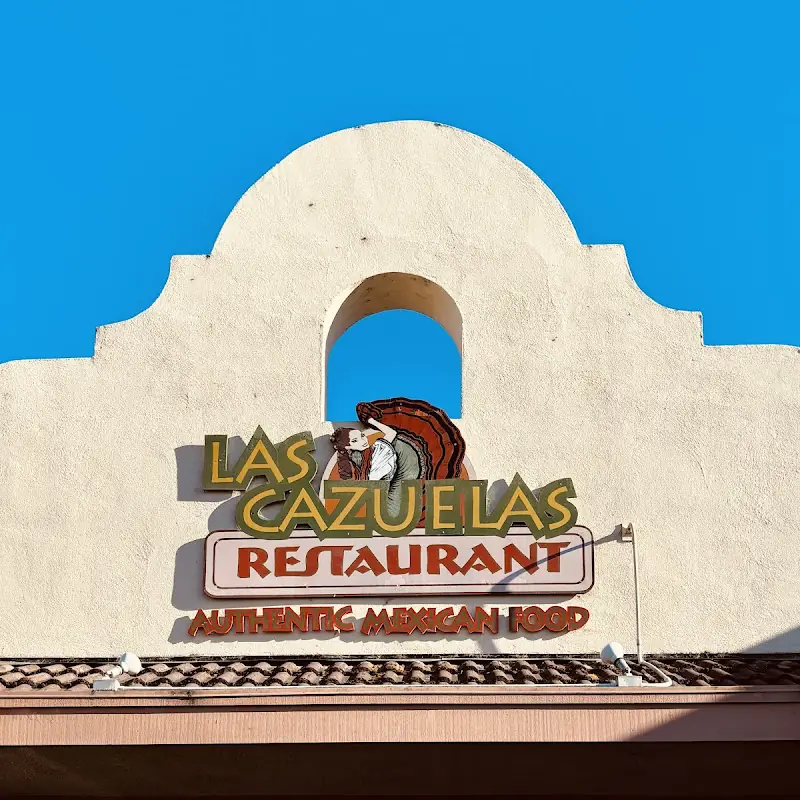 Chicken Burrito