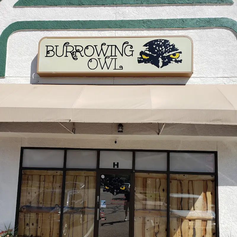 Burrowing Owl