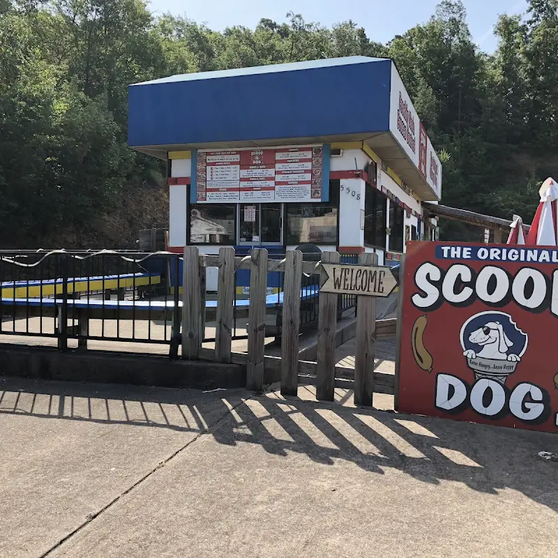 The Original ScoopDog